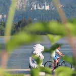 Young&smart-apartment Inkl Königscard In Allgäu Nahe Neuschwanstein Apartamento *